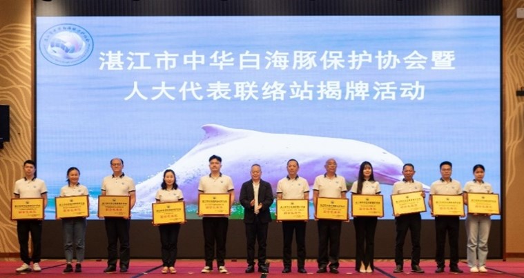 揭牌活动
