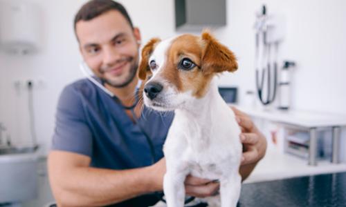 市场及产品应用